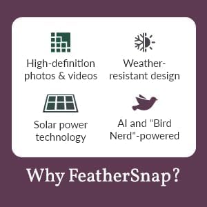 Bird Feeder with Camera with AI Identify Birds Species Solar Panel, Smart Bird House with Cam, 2K Live View, Instant Arrival Alerts, Dual Feeder, Includes Pole Stand