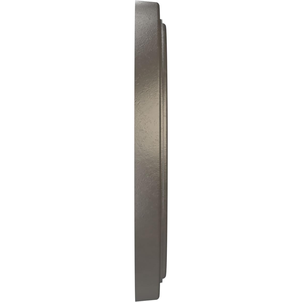 10Od X 3 1/2Id X 1 1/8P Traditional Thermoformed Pvc Ceiling Medallion (Fits Canopies Up To 5 1/2), Universal Aged Metallic Weat