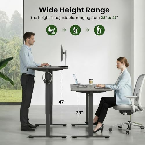 Casaphoria 55 x 24 inches Electric Standing Desk, Sit to Stand Desk with Memory Height Adjustment, Home Office Computer Desk for Writing and Games, Grey