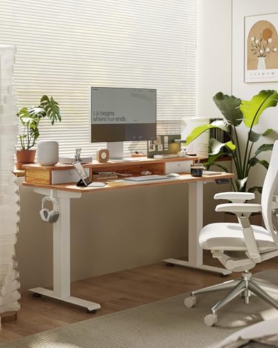 TENKIA 48x24 Inch Electric Standing Desk with Double Drawers, Adjustable Feet & Hooks, Ergonomic Home Office Workstation, Light Rustic
