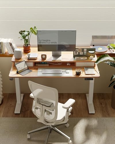 TENKIA 48x24 Inch Electric Standing Desk with Double Drawers, Adjustable Feet & Hooks, Ergonomic Home Office Workstation, Light Rustic
