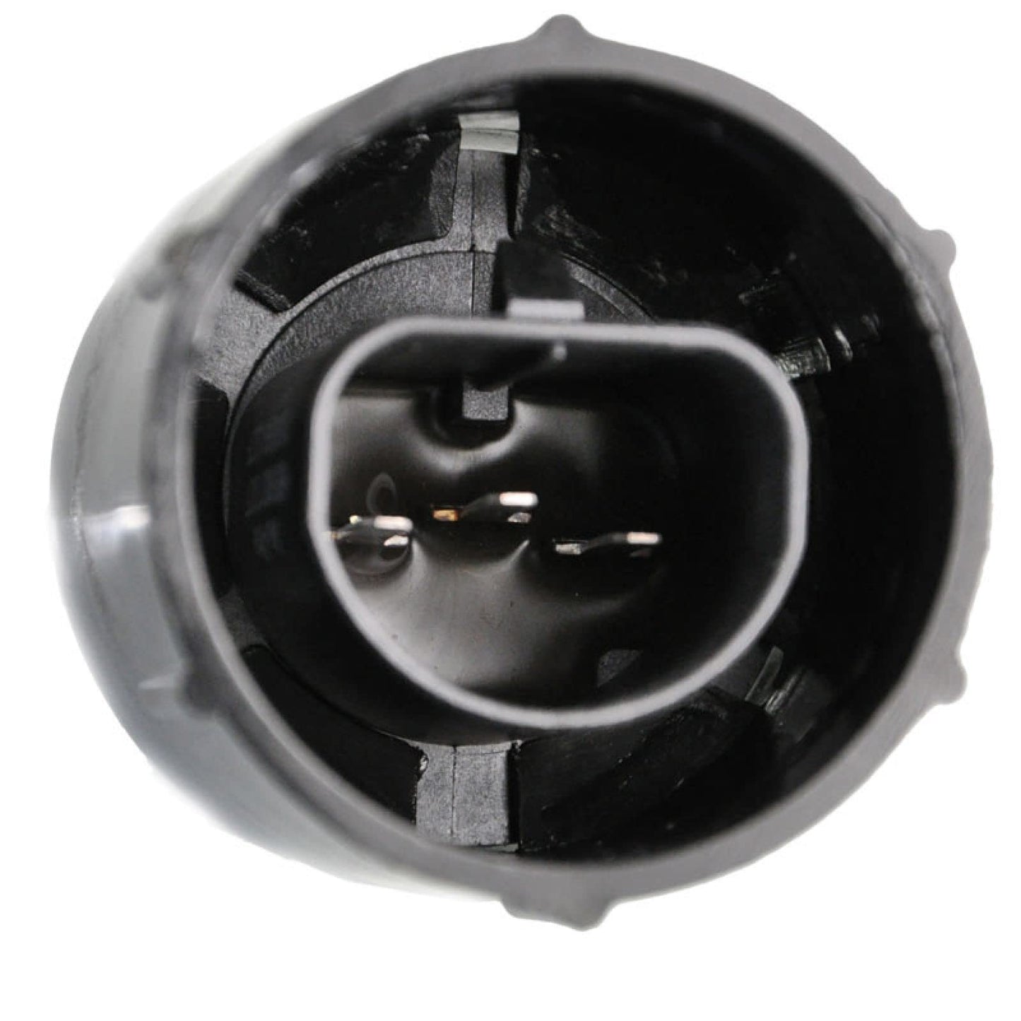 Trq Lighting Kit Compatible With 1998-2000 Ford Ranger Fo2502151 Fo2503151 Fo2520144 Fo2521144 Fo2592198 Fo2593198