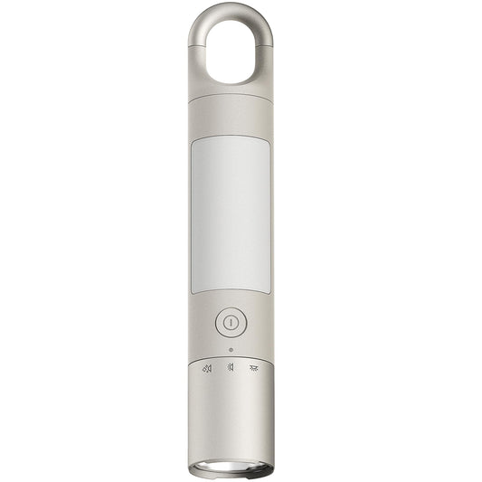 HOTO Flashlight Duo, USB-C Rechargeable, 1000 Lumens, Magnetic Absorption, Gray, Model QWSDT002
