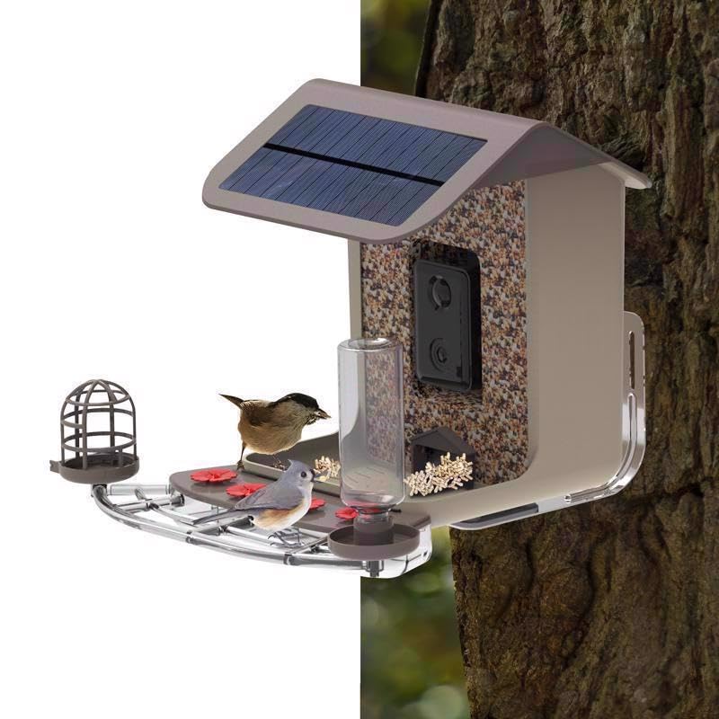 Feit Bird Genius Smart Feeder Wild Bird 2.5 L Plastic Bird Feeder 1 Ports
