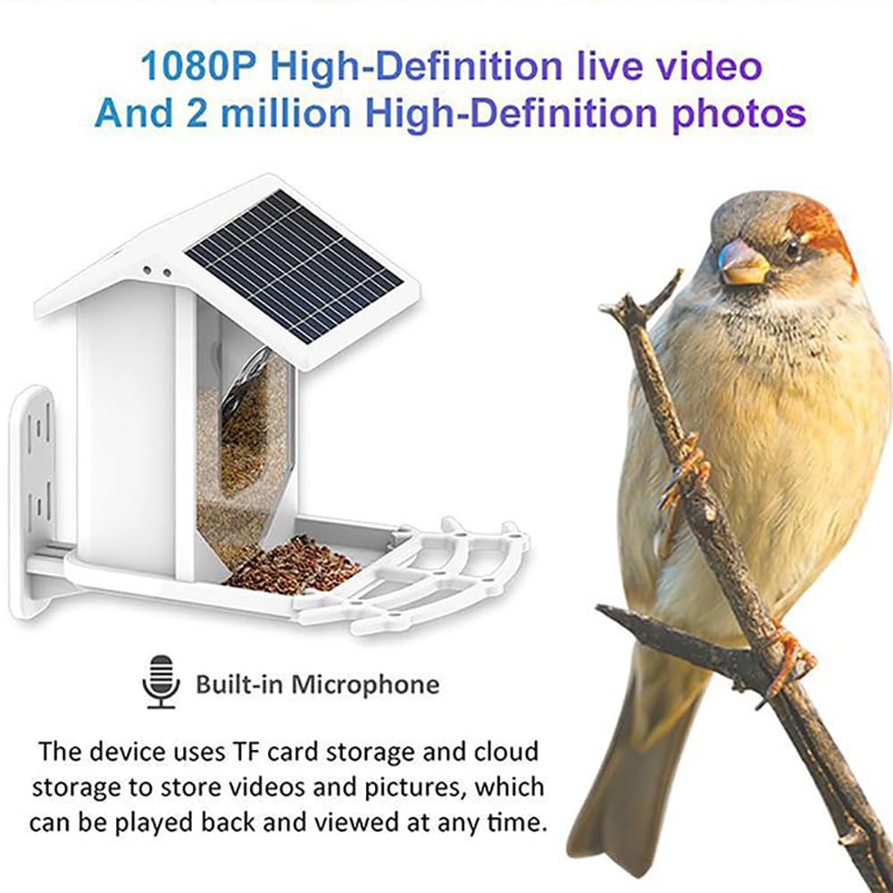 Smart Bird Feeder, AI Bird Watching Camera, AI Identify Bird Species, High-definition 1080P and Support 8-128G TF Card & Cloud Storage, for Outside, Yard, House, Tree, Bird Lover