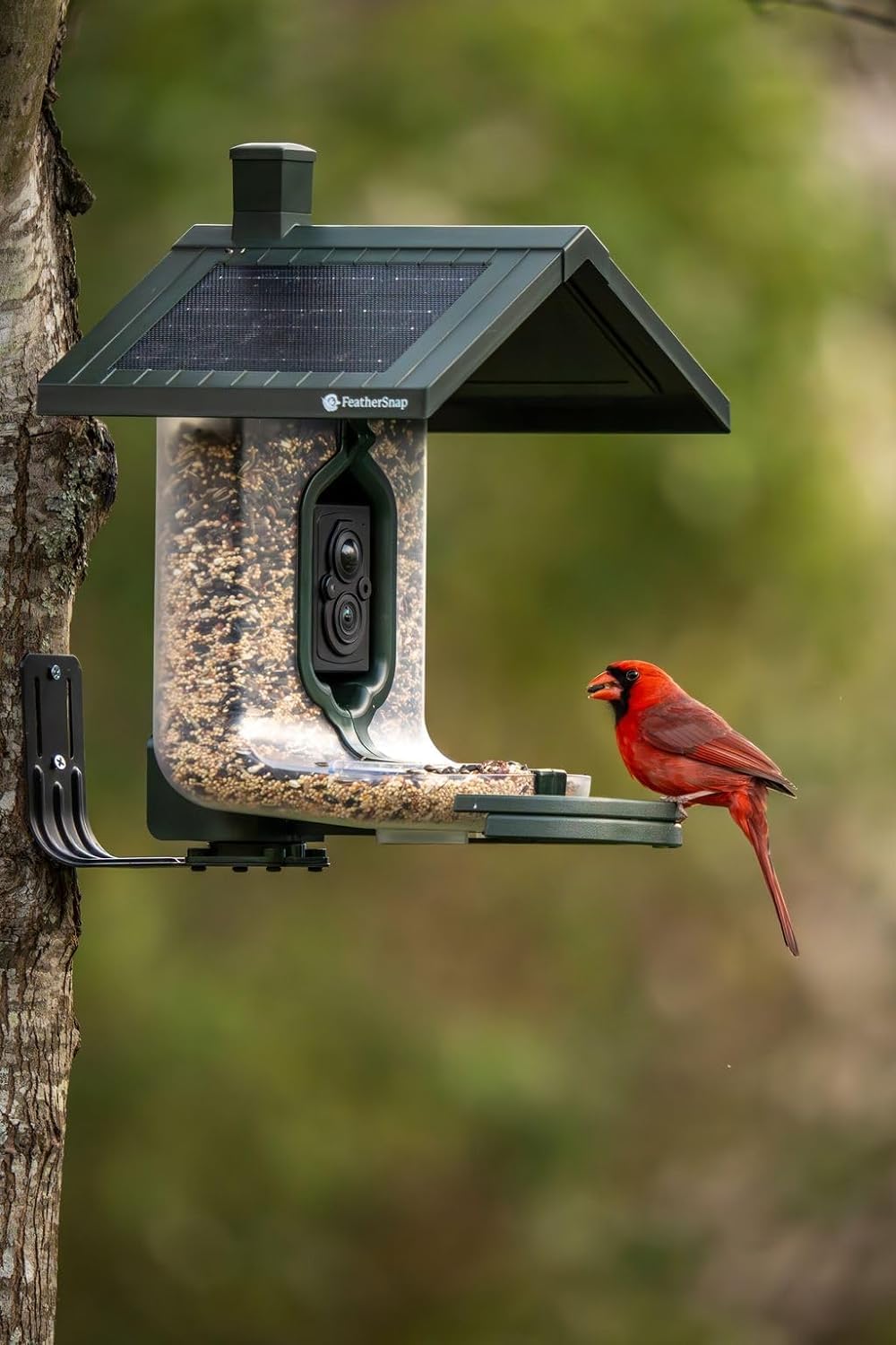 Bird Feeder with Camera with AI Identify Birds Species Solar Panel, Smart Bird House with Cam, 2K Live View, Instant Arrival Alerts, Dual Feeder, Includes Pole Stand