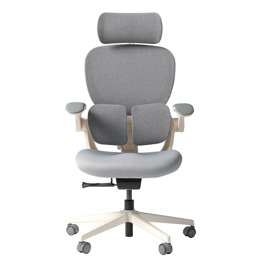HINOMI Q2 Ergonomic Office Chair with Lumbar Support & Adjustable Headrest, Cushion Seat with Flip-Up Arms, Reclining Computer Seating with Footrest, Stylish Desk Model for Home (Gray)