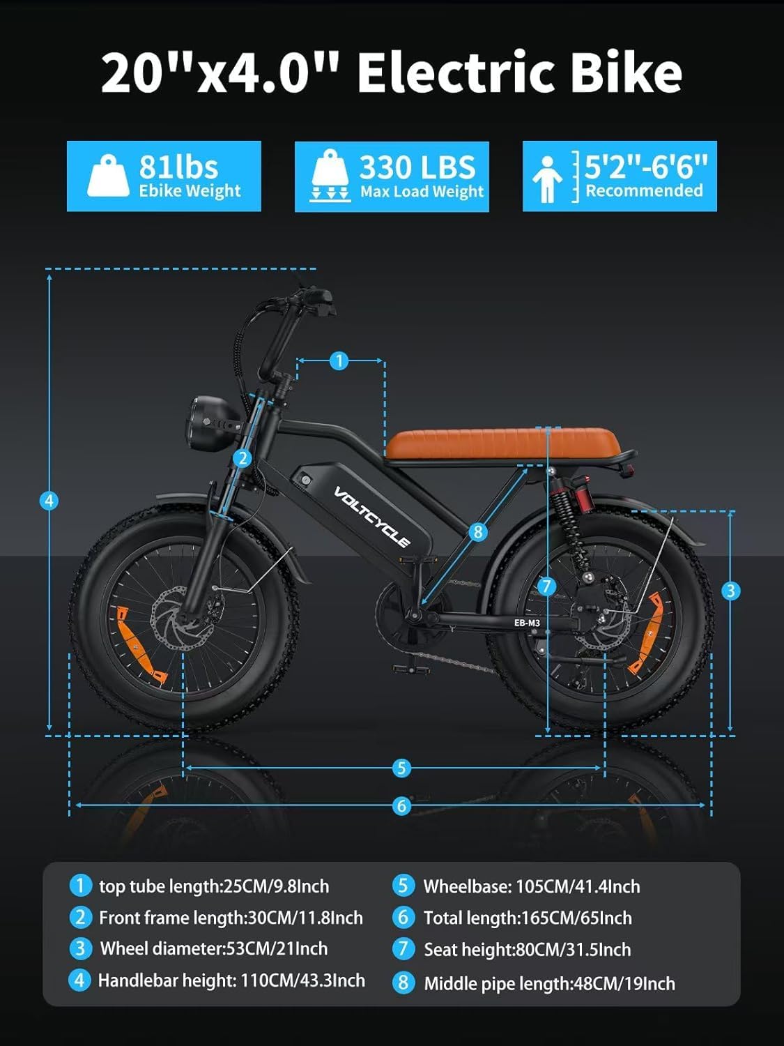 Leeyalan Electric Bicycle for Adults 750W Motor 28 MPH 50 Miles Removable 48V Battery, 20"x4.0"Fat Tire Dual Disc Brakes, ebike Suitable for City Commuting
