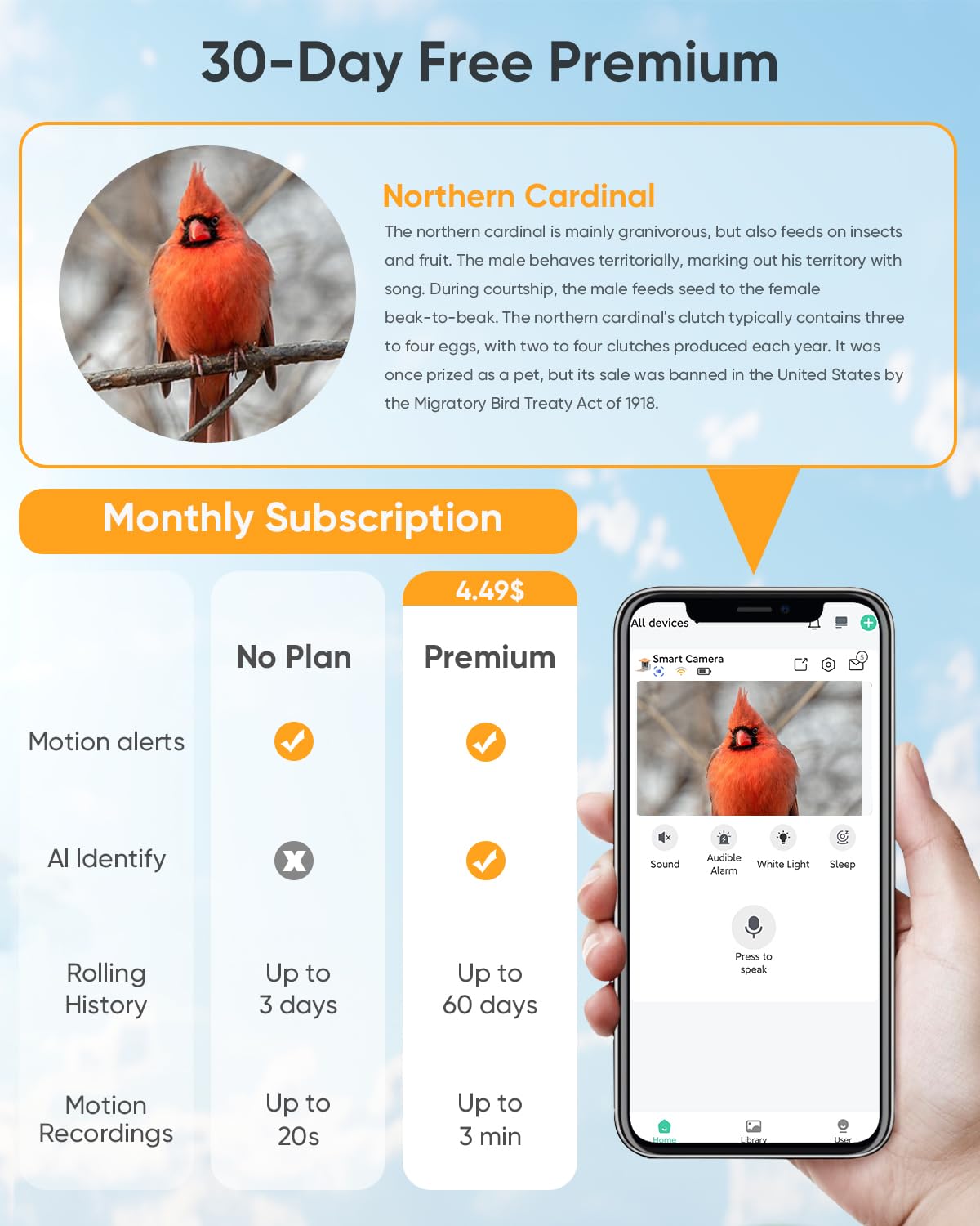 Bird Feeder with Camera Solar Powered : Smart Camera Bird Feeder 2K Live Feed Cam for Outdoor Backyard - Ai Identify Auto Capture Videos Pictures, Gifts for Birdlover Mom Dad, 2.5GHz WiFi