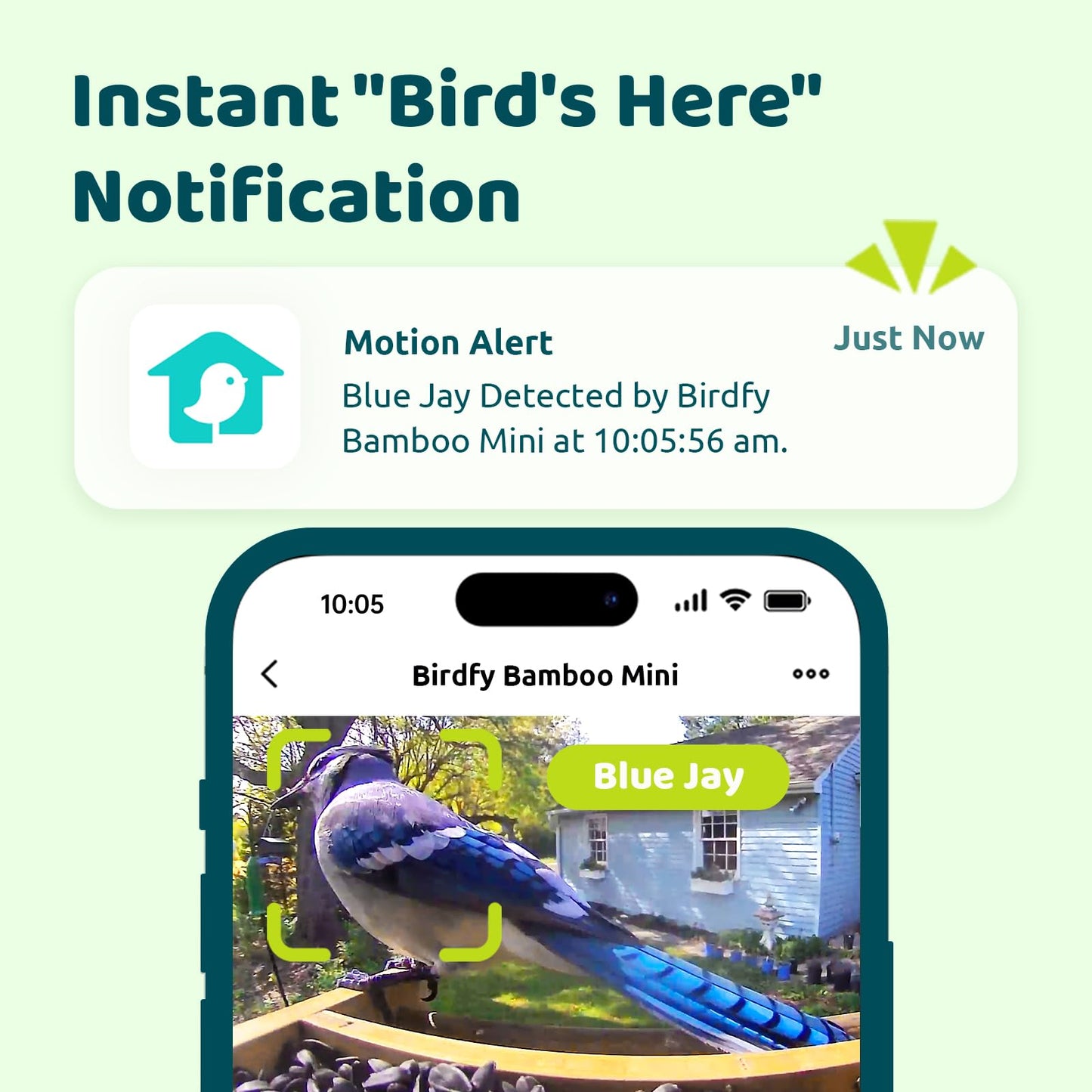 Birdfy Smart Bird Feeder with Camera, High-End Bamboo, Solar Powered Bird-Feeder with 2K Camera for Live Stream&Permanent AI Identifies Birds with Motion Detection,Ideal for Mom,Gran&Me