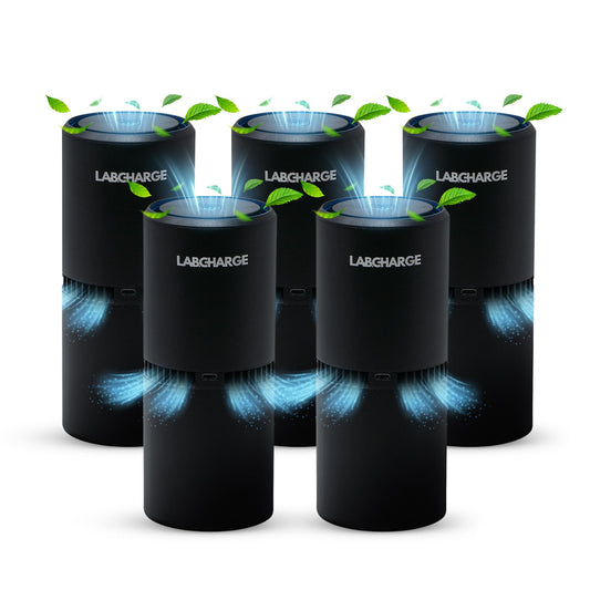 LabCharge Small Ionic Air Purifier for Home & Bedroom – Silent HEPA Filter – Covers 250 Sq Ft - Free Cleaner for Pets, Hair, Smoke, Dust, Odors & Dander – Compact & Black Design - Pack of 5