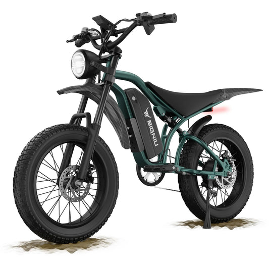 BIGNIU Electric Bike for Adults – 20" Fat Tire, Peak 1200W Motor, 48V 15A Battery, 7-Speed, Dual Disc Brakes for Off-Road and City Riding BG-S (Dark Green)