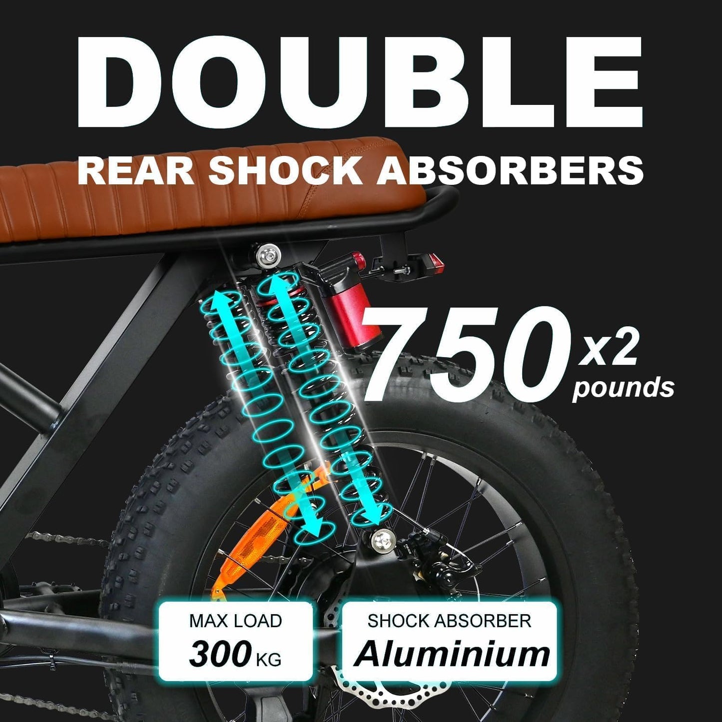 Leeyalan Electric Bicycle for Adults 750W Motor 28 MPH 50 Miles Removable 48V Battery, 20"x4.0"Fat Tire Dual Disc Brakes, ebike Suitable for City Commuting