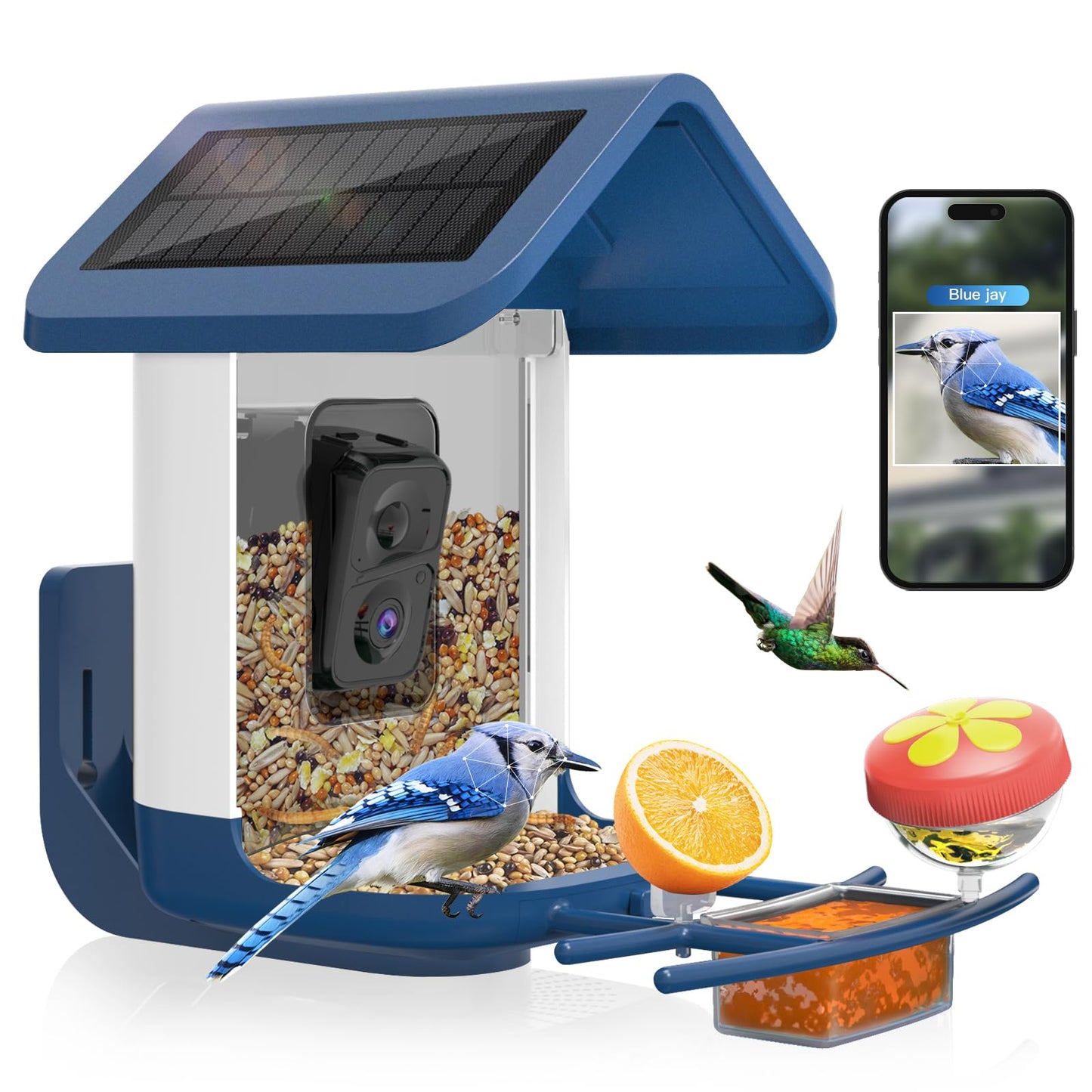 Bird Feeder with Camera Solar Powered : Smart Camera Bird Feeder 2K Live Feed Cam for Outdoor Backyard - Ai Identify Auto Capture Videos Pictures, Gifts for Birdlover Mom Dad, 2.6GHz WiFi