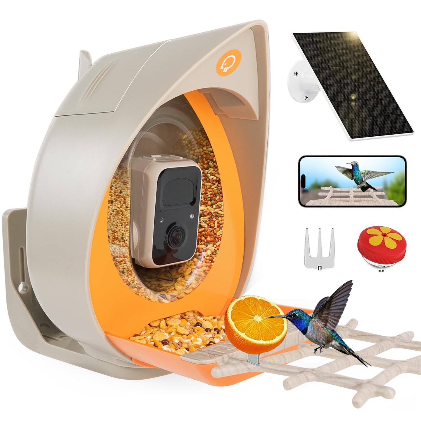 Bird Feeder with Camera Solar Powered, Smart Birds Feeder for Outside, AI Bird Identification Auto Capture Videos Pictures, 2K Live Feed Cam for Backyard, Ideal Gift for Birds Lover