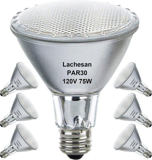 Lachesan Par30 Halogen Flood Light Bulbs120V 75W  Halogen Long Neck Bulb  2700K Warm White Dimmable High Brightness  Great For Accent Lighting  Tracking  Recessed Bulb