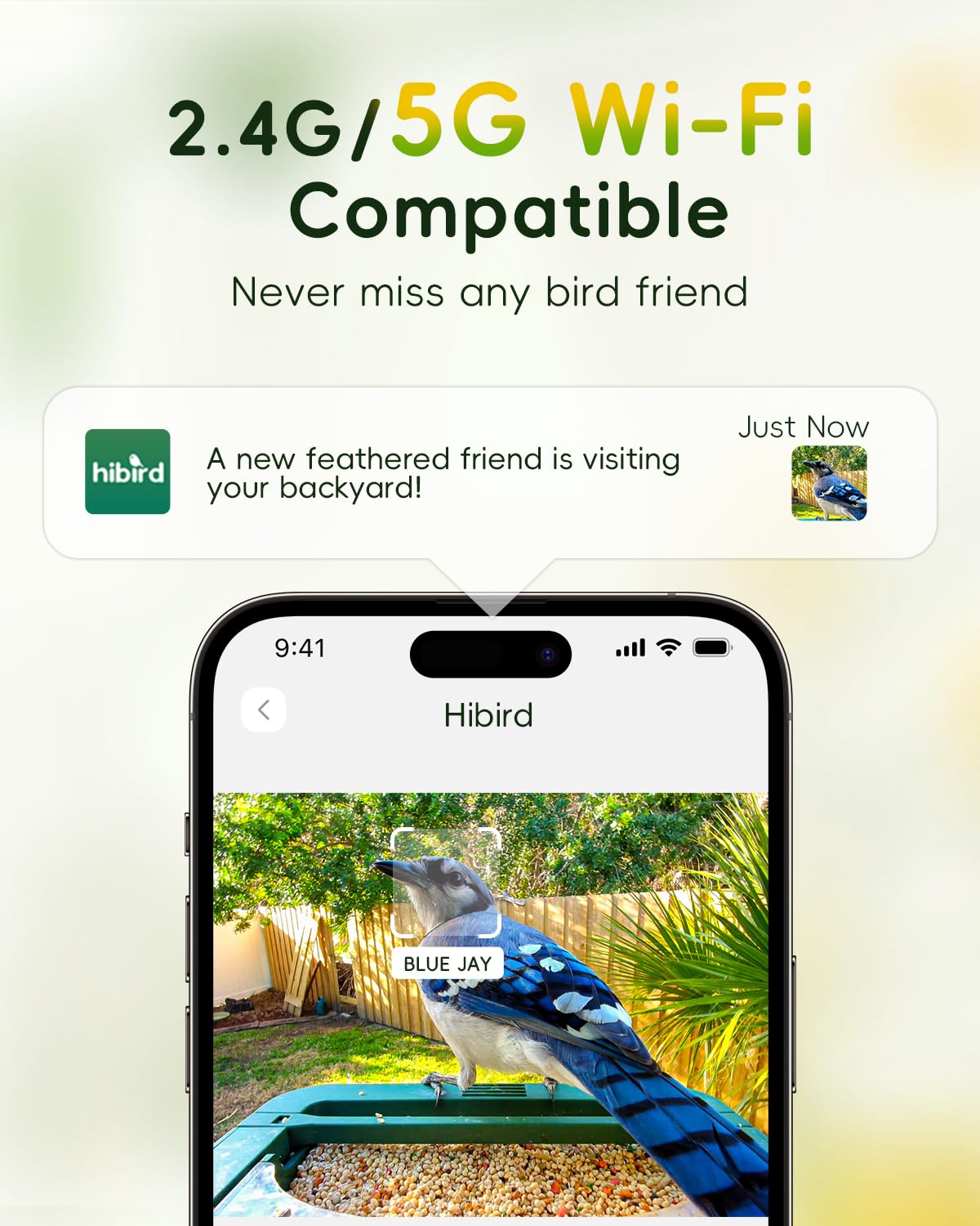 Hibird 4K HD Smart Bird Feeder with Camera, 2.4G/5G Dual WiFi Wireless Outdoor, Auto Higher Resolution Bird Video Capture, AI Identify 10000+ Species, 1080P Live Function for Everyone