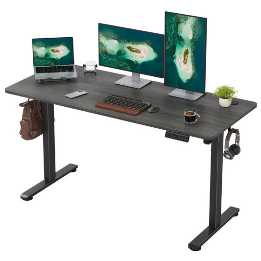 Casaphoria 55 x 24 inches Electric Standing Desk, Sit to Stand Desk with Memory Height Adjustment, Home Office Computer Desk for Writing and Games, Grey