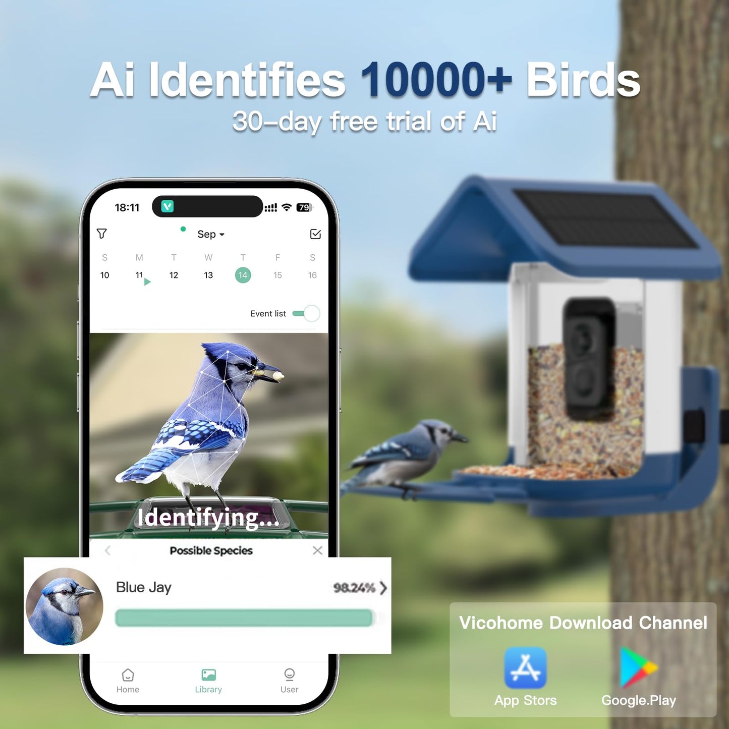 Bird Feeder with Camera Solar Powered : Smart Camera Bird Feeder 2K Live Feed Cam for Outdoor Backyard - Ai Identify Auto Capture Videos Pictures, Gifts for Birdlover Mom Dad, 2.6GHz WiFi