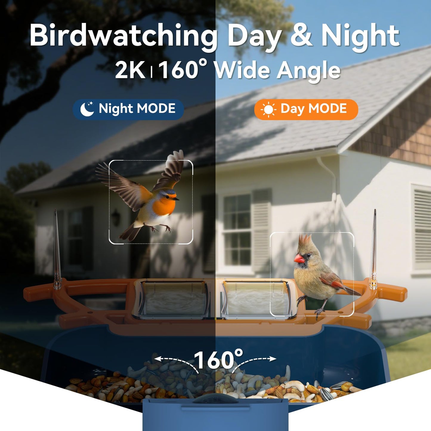 KUIKEO Dual-Lens Bird Feeder with Camera & Bird Bath Combo, Watch Birds Eat & Bathe with WiFi 2K HD Video, Auto Record, AI Recognition, APP Alerts, Solar Powered, for Backyard Garden Porch Fence Decor