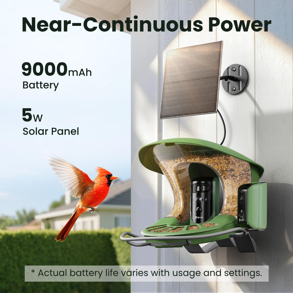 Birdfy 2 Smart Bird Feeder with Camera, AI Identifies Bird Species, 2K Dual-Lens + Side HD Camera for Live Streaming & Feeding View, Solar-Powered Backyard Birdwatching Gift Present