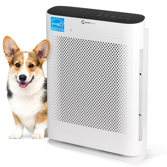 Air Purifier for Home Allergies & Pets | 4-in-1 H13 True HEPA Filter/Ionizer/Carbon + UV Light | Portable Air Purifiers for Large Room & Bedroom Odor Elimination - InvisiClean Aura II