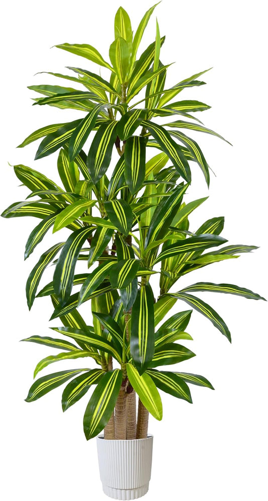 Artificial Dracaena Tree 6ft, Fake Yucca Plant with White Planter and Lifelike Leaves, Faux Dracaena Tall Floor Trees for Home Office Garden Décor