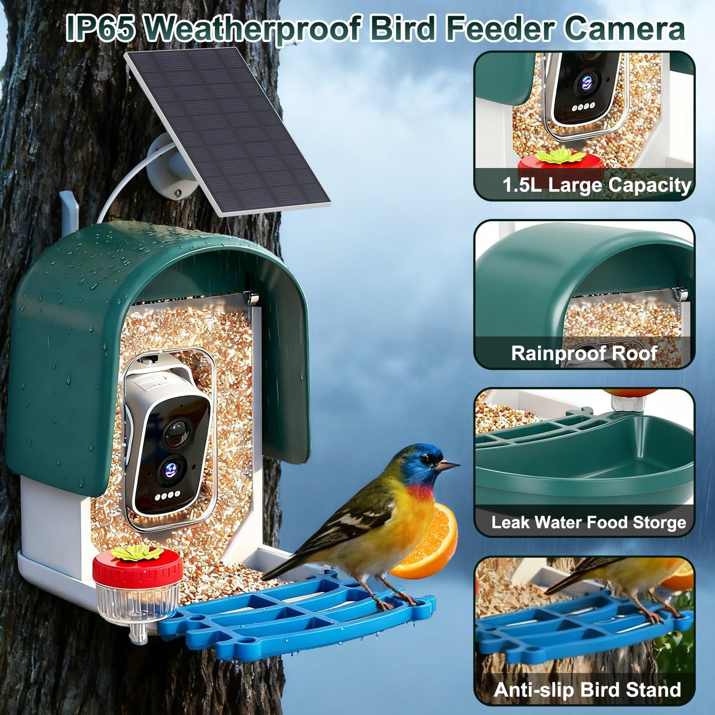 Smart Bird Feeder with Camera Solar Powered, AI Bird Identification for 10000+ Species, 4K HD Live Video & Instant Alerts, USB Charging, 2.4GHz WiFi Bird House, IPX7 Waterproof for Garden (Green)