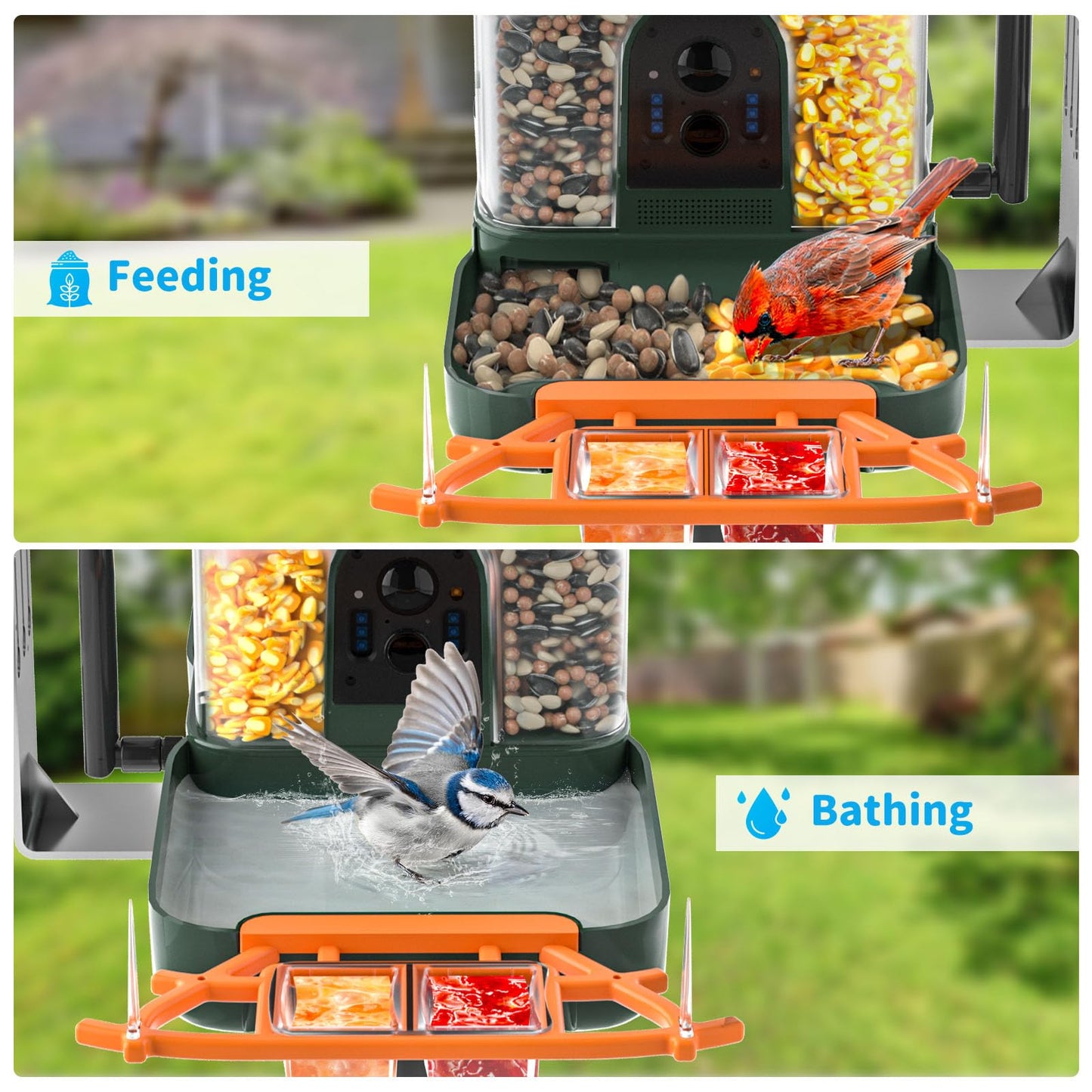 Bird Feeder with Camera and Bath, Dual-Lens 2K HD Video, AI Bird Identification, Solar Powered, Instant Alerts, IP66 Weatherproof