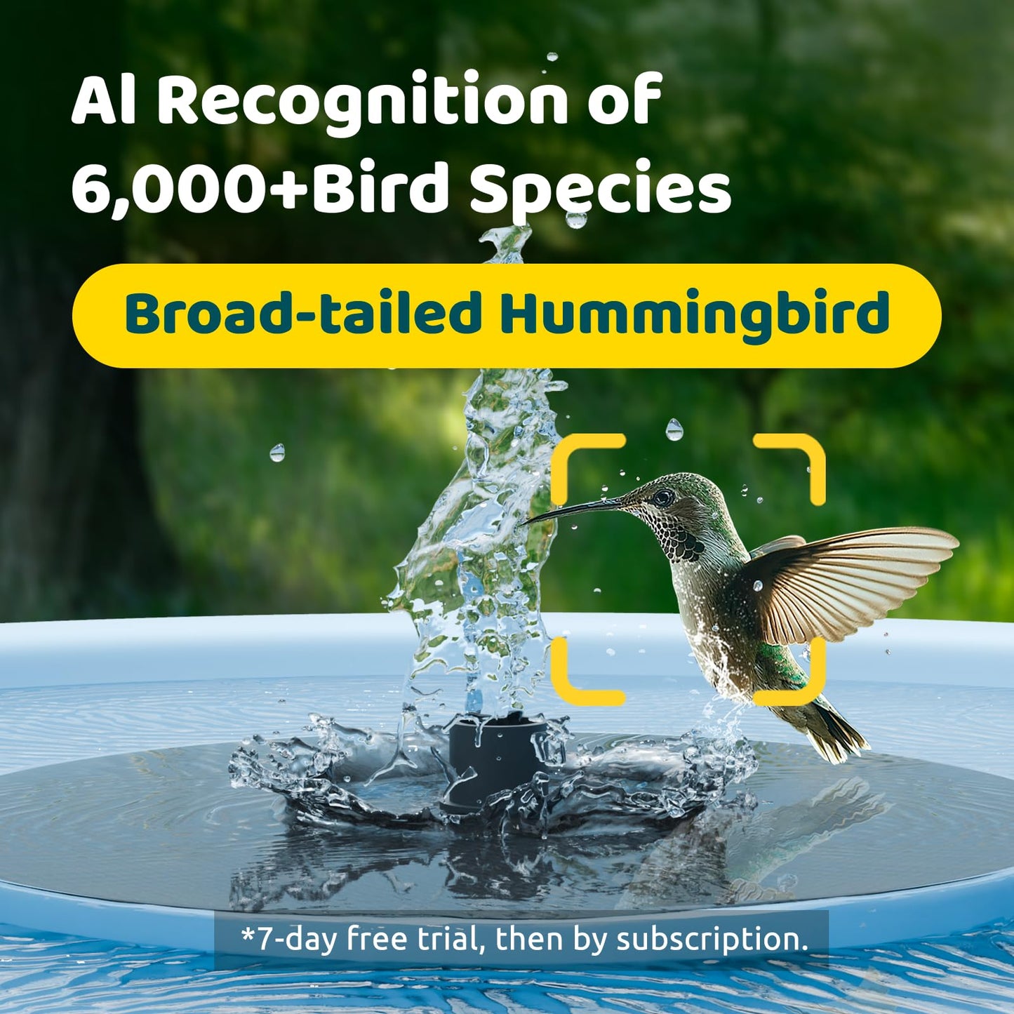 Birdfy Smart Bird Bath with Camera Solar Powered & Fountain, Dual-Lens Camera for Wildbird Watching, Auto Capture Bird Videos & Motion Detection - AI by Subscription (Blue)