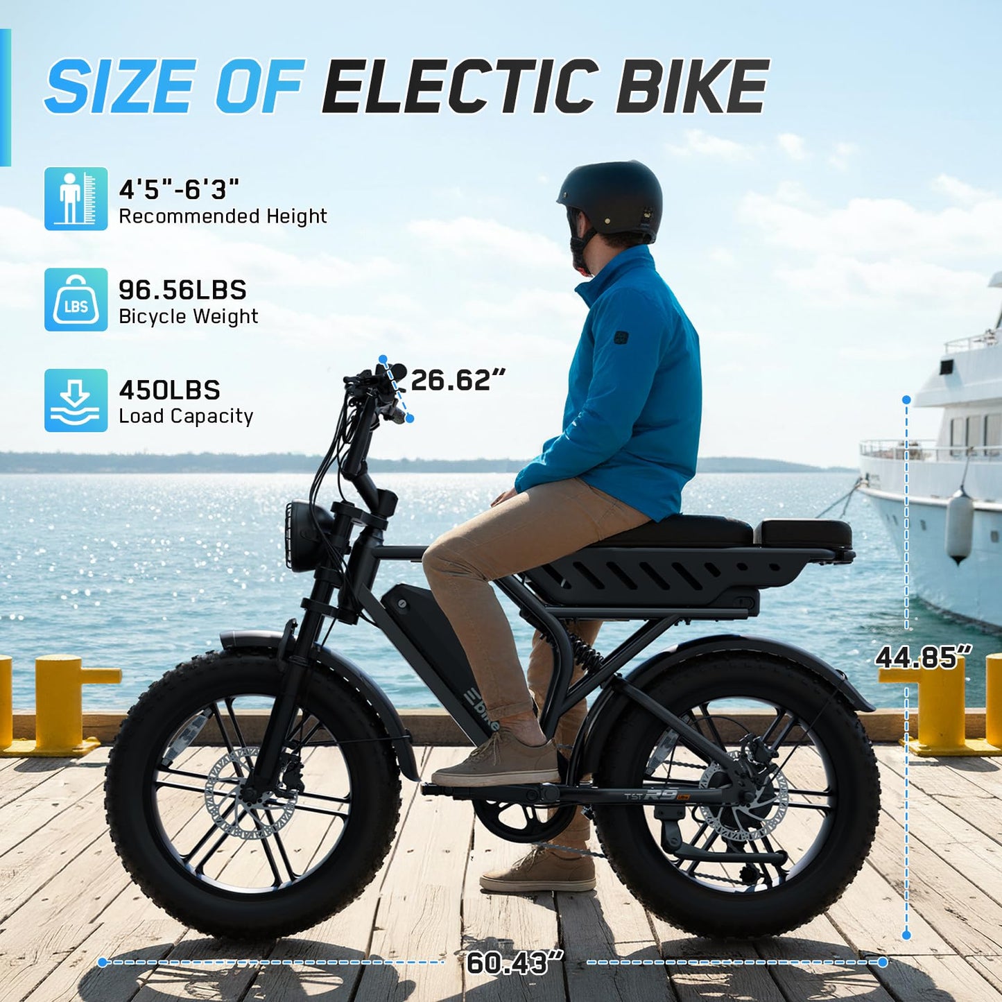 TS TST GRP LLC Electric Bike for Adults, 1500W Peak Motor Retro E Bike, Removable 48V 15Ah Dual Battery, 20" x4.0 Fat Tire, 28 MPH Max Speed, 110 Miles Range, Ebike with Suspension, Black