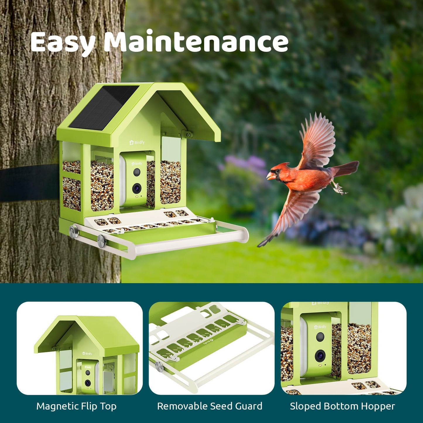 Birdfy Smart Bird Feeder with Camera, Durable Metal Feeders for Outdoors, Auto-Identify & Record Video, Instant Alert, Live Bird Watching Camera Solar, Gifts for Backyard Birder (AI Lifetime Free)