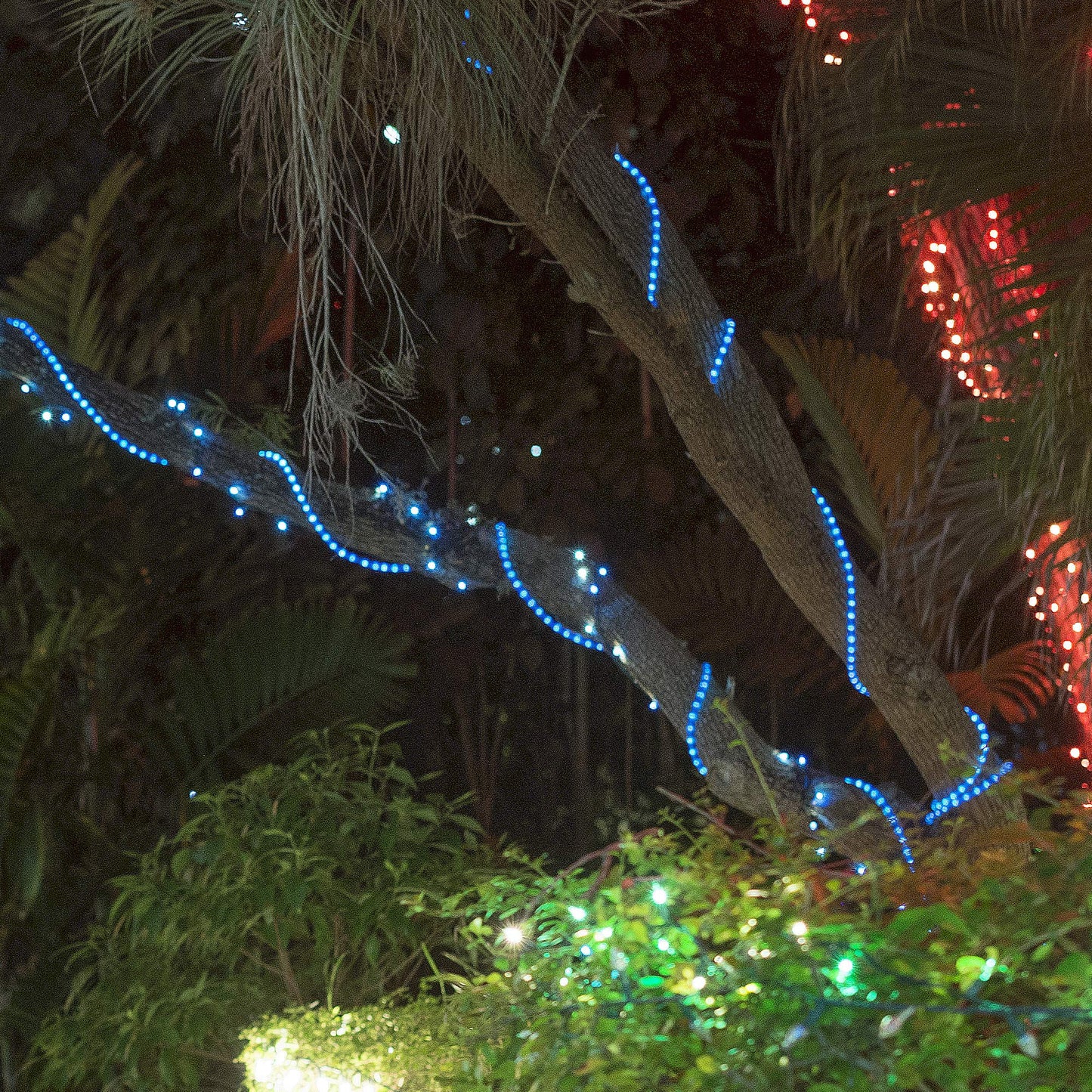 Wintergreen Lighting Blue LED Rope Light Kit, 150ft, PVC, Model WG-LED-13Y-1E-#22-36-18, Flexible Indoor/Outdoor Use